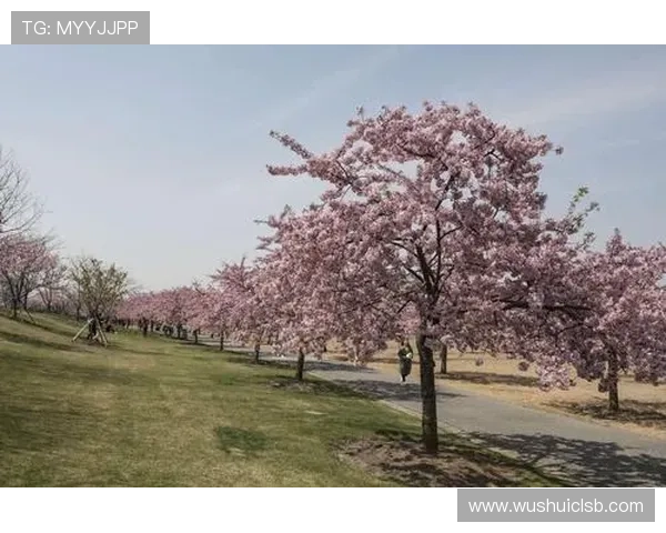 从亚到欧资格赛黑马绽放春天光